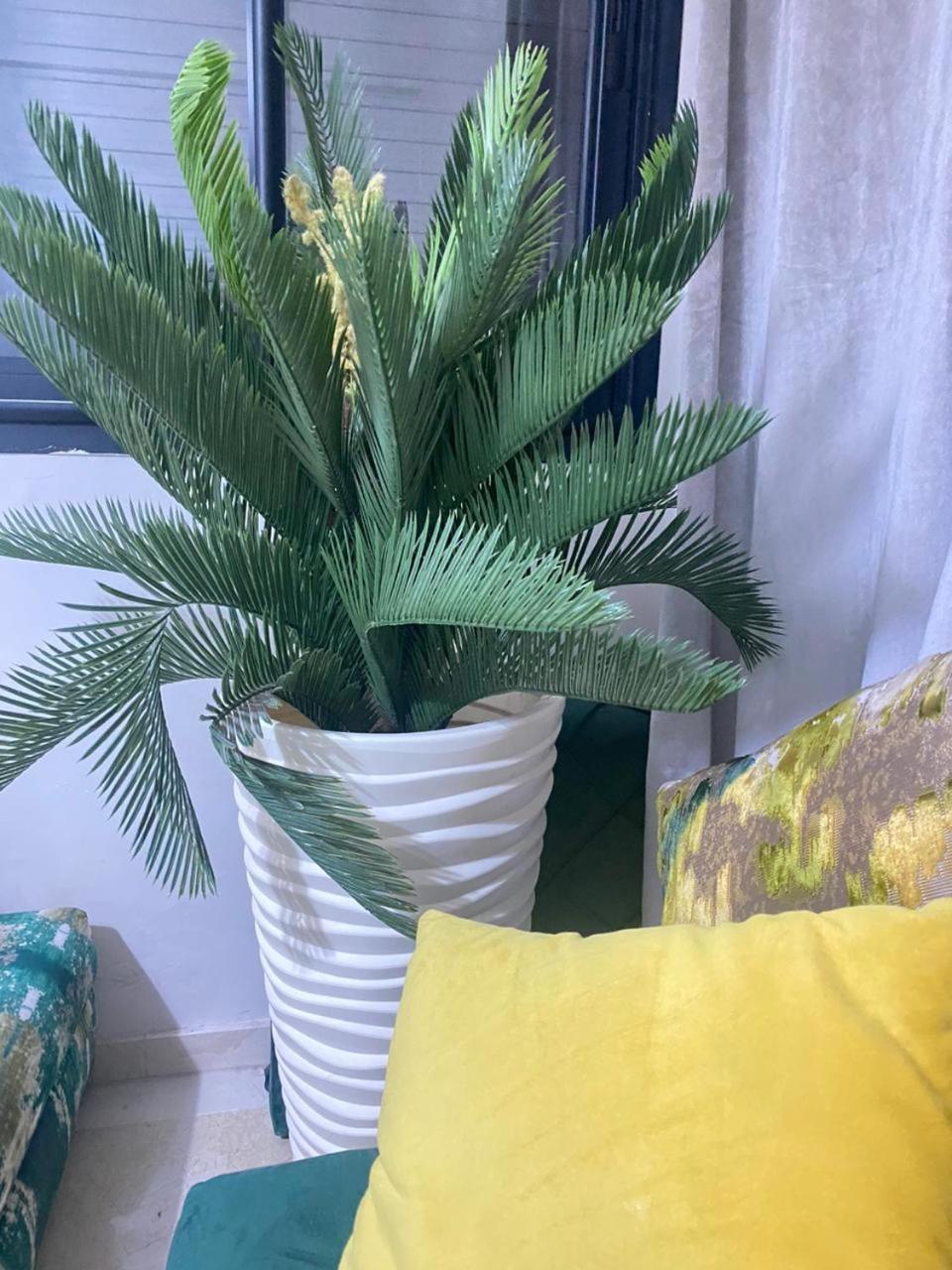 Cosy & Magnifique Appartement Marrakech Marrakesh Luaran gambar